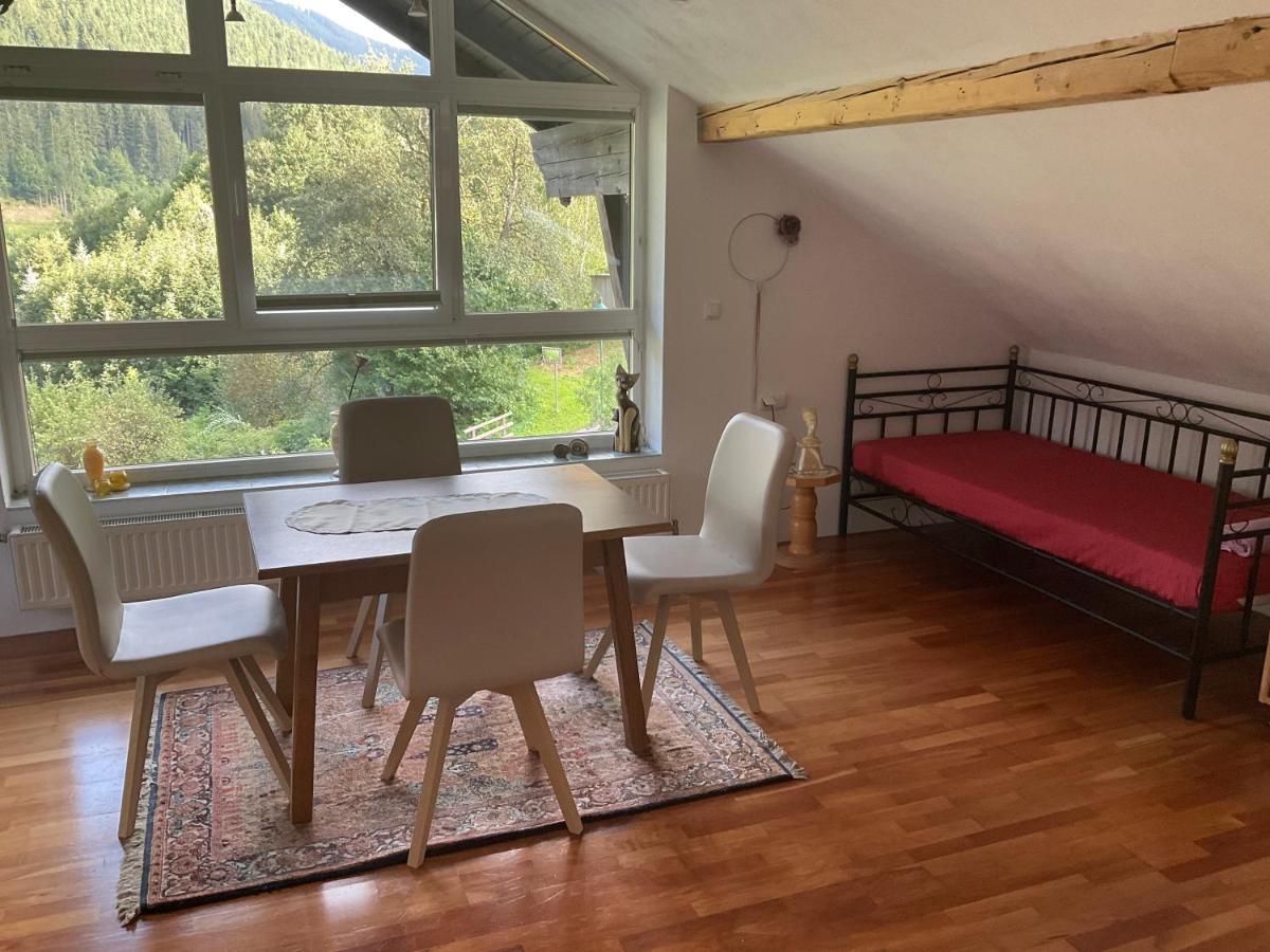 Ferienwohnung Dallinger Radmer an der Stube Kültér fotó